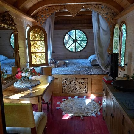 La Roulotte Du Petit Paradis Saint-Rémy-de-Provence Extérieur photo