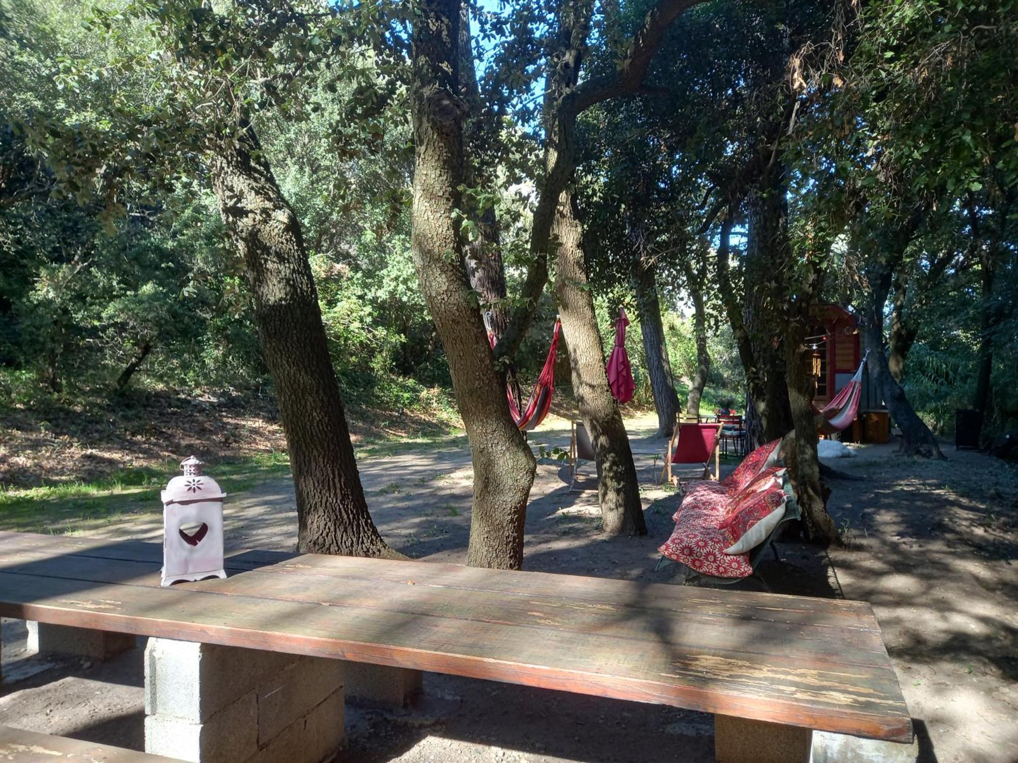 La Roulotte Du Petit Paradis Saint-Rémy-de-Provence Extérieur photo