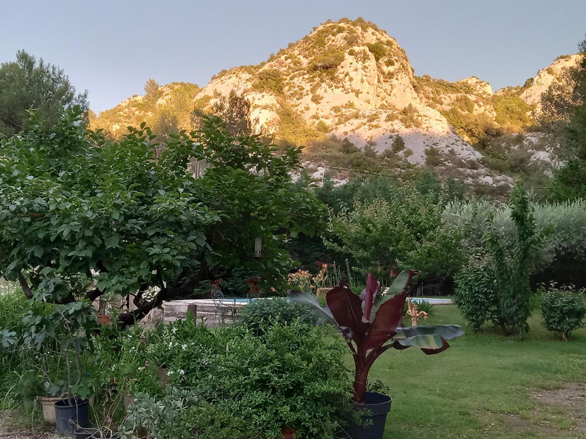 La Roulotte Du Petit Paradis Saint-Rémy-de-Provence Extérieur photo