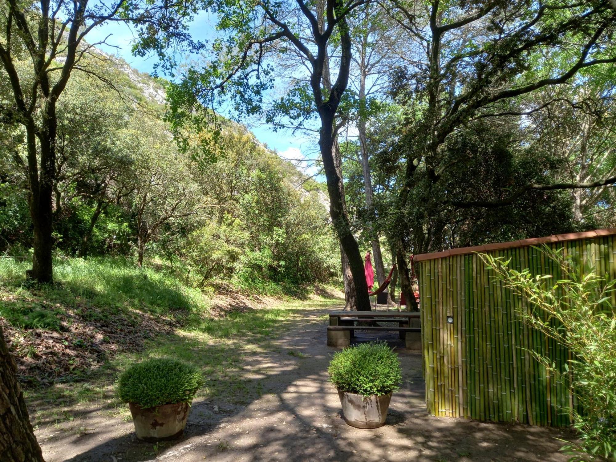 La Roulotte Du Petit Paradis Saint-Rémy-de-Provence Extérieur photo