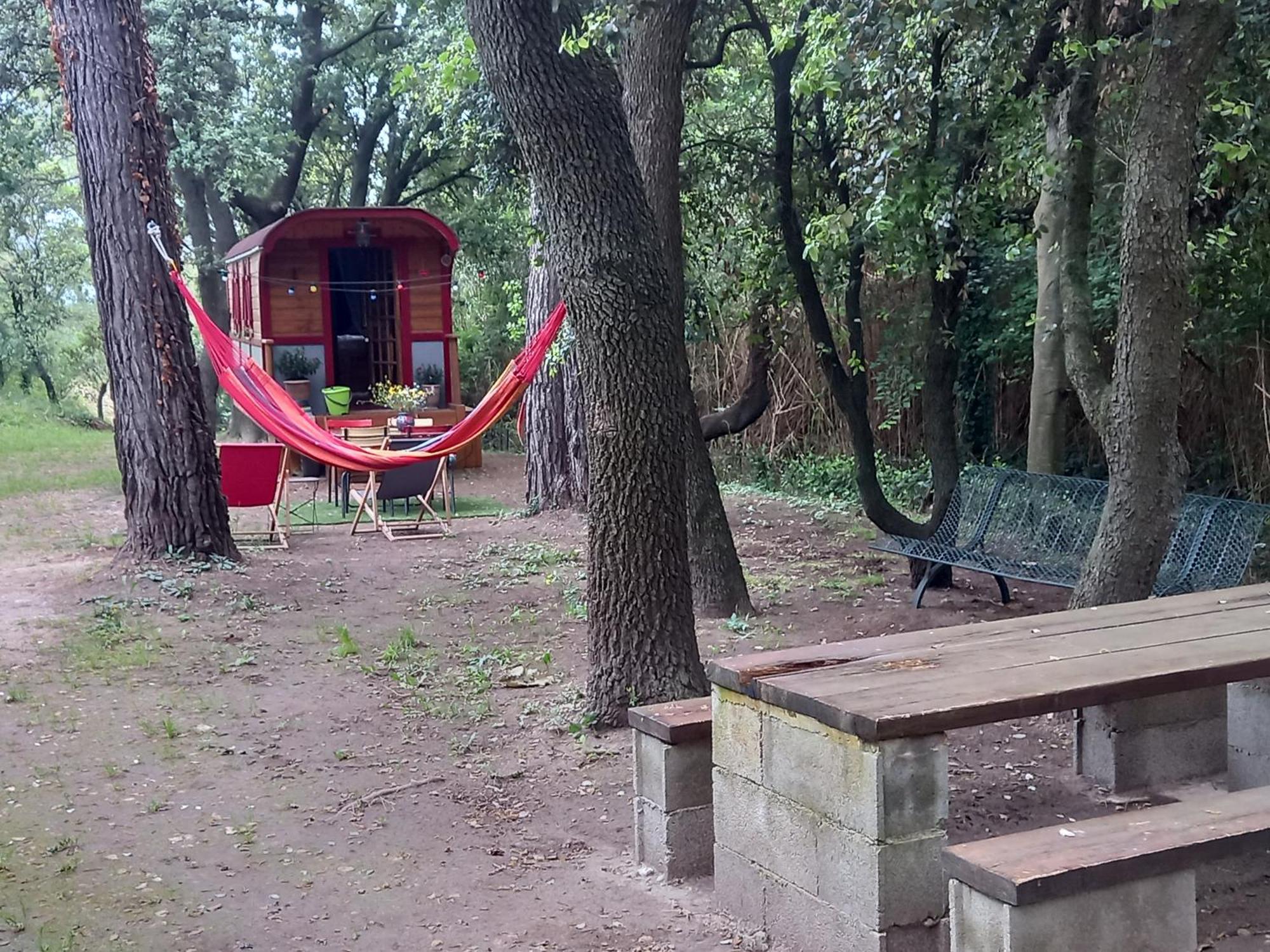 La Roulotte Du Petit Paradis Saint-Rémy-de-Provence Extérieur photo