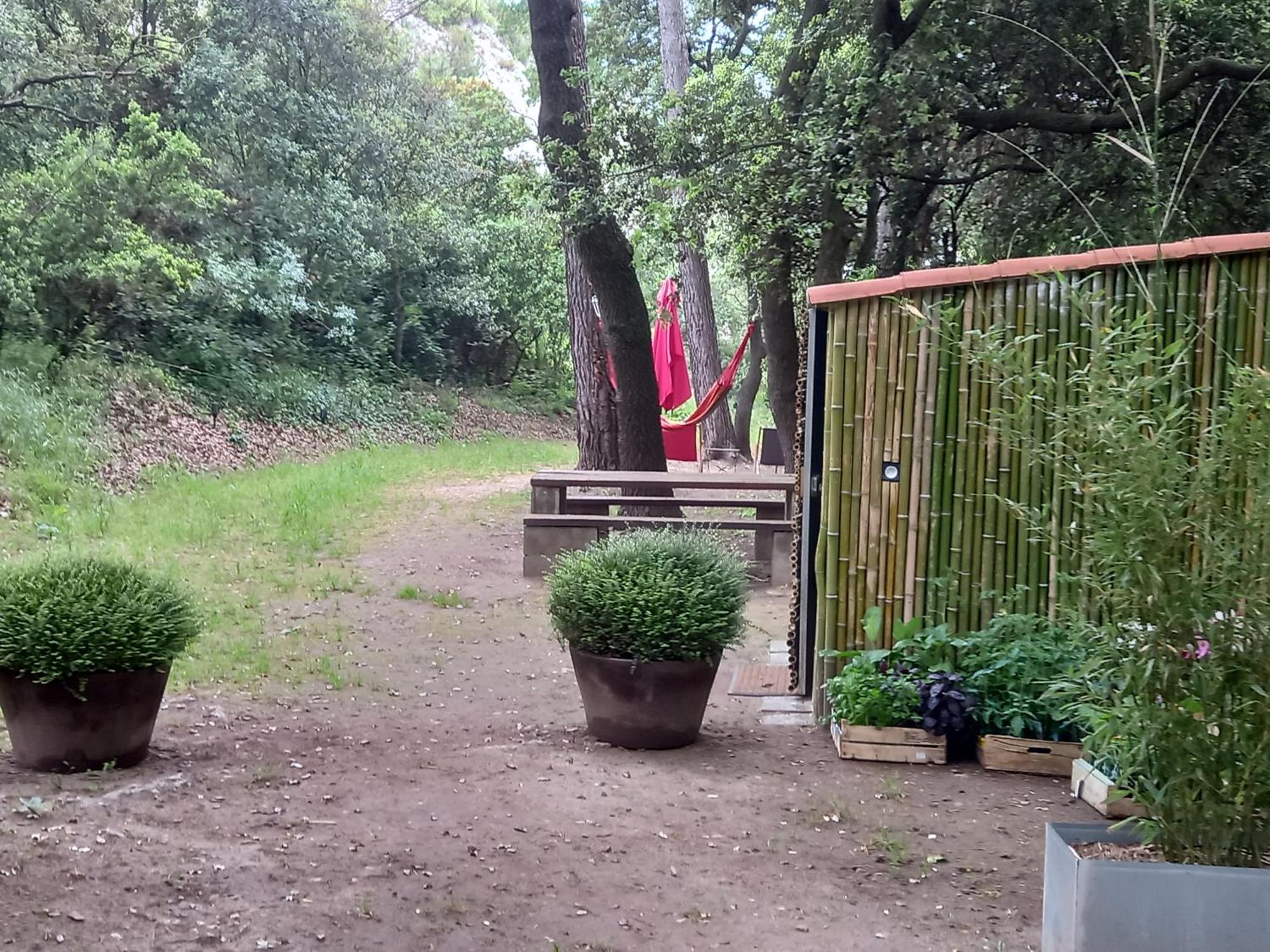 La Roulotte Du Petit Paradis Saint-Rémy-de-Provence Extérieur photo