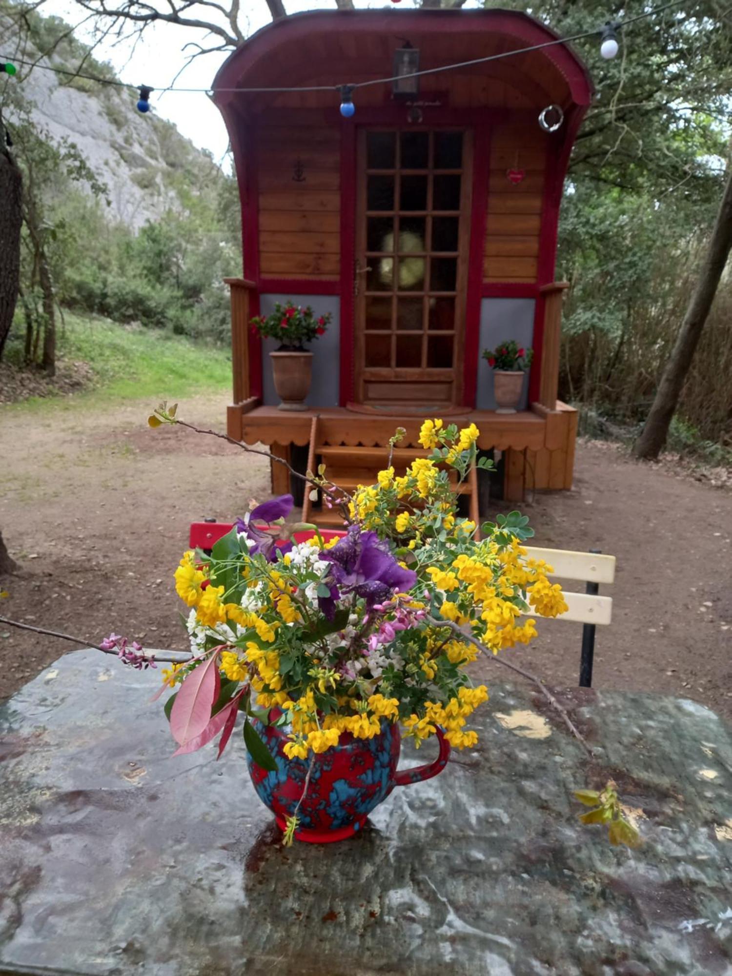 La Roulotte Du Petit Paradis Saint-Rémy-de-Provence Extérieur photo