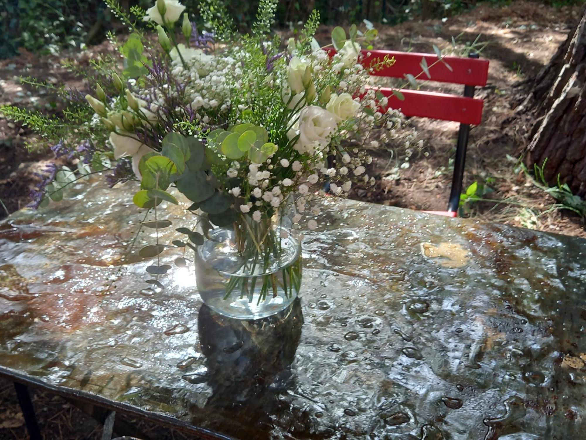 La Roulotte Du Petit Paradis Saint-Rémy-de-Provence Extérieur photo