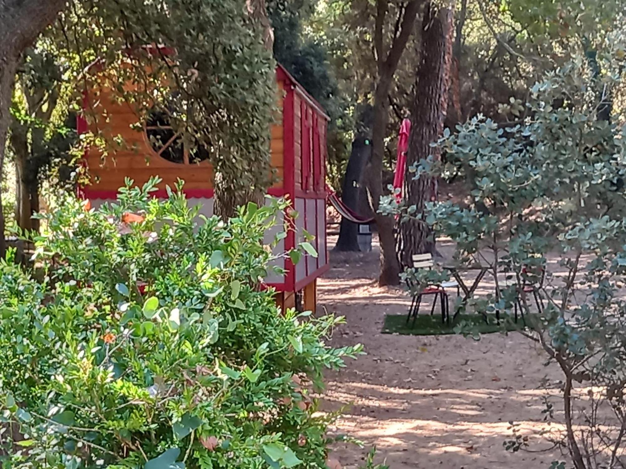 La Roulotte Du Petit Paradis Saint-Rémy-de-Provence Extérieur photo